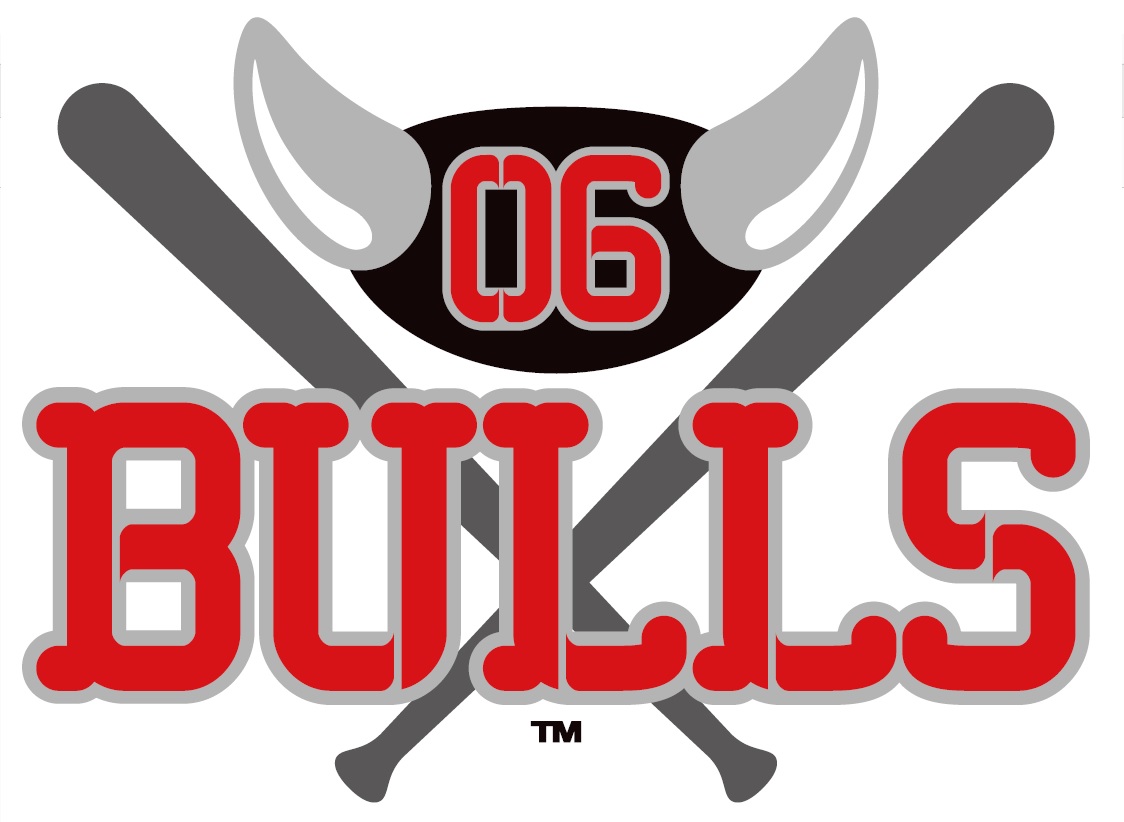 06BULLS