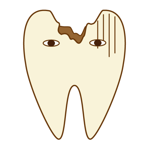 歯の根　治療　長い