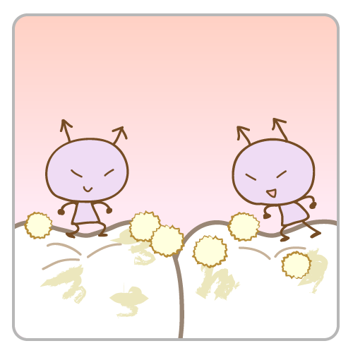 虫歯 原因 糖分 菌